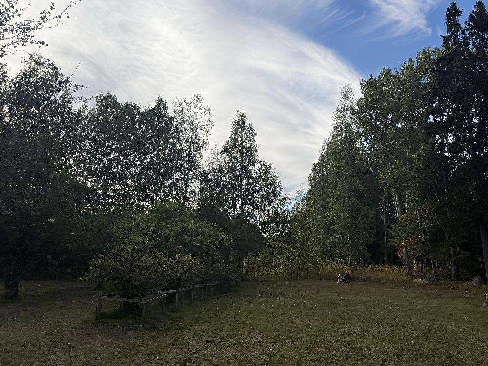 Landscape image